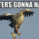 Image for article titled Activision on Call of Duty Elite: 'Even Haters Can Play for Free'